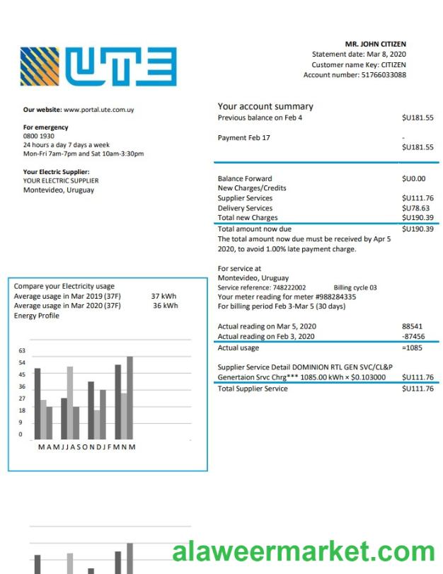 Uruguay UTE Company electricity utility bill template in Word and PDF format